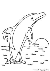 Dolphin Max Splasher A4 Coloring Pages Printable