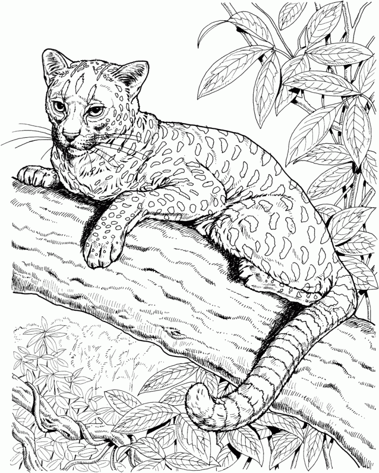 Coloring Pages Animals Hard