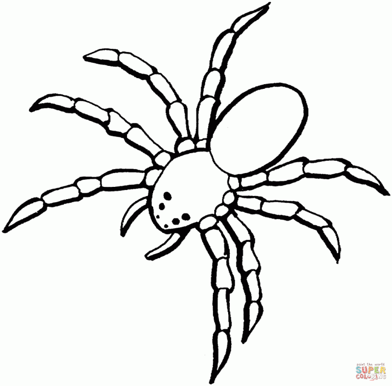 Spider Coloring Pages To Print