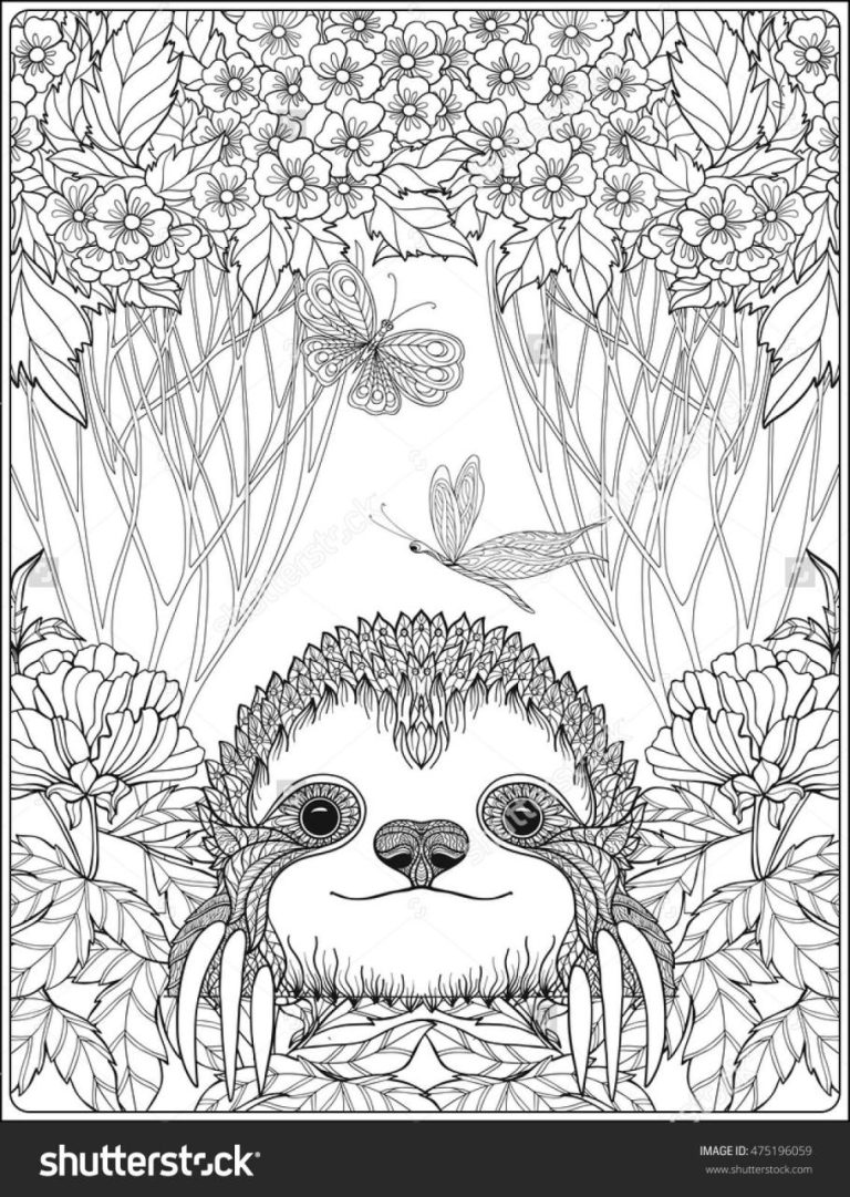 Sloth Coloring Pages Cute