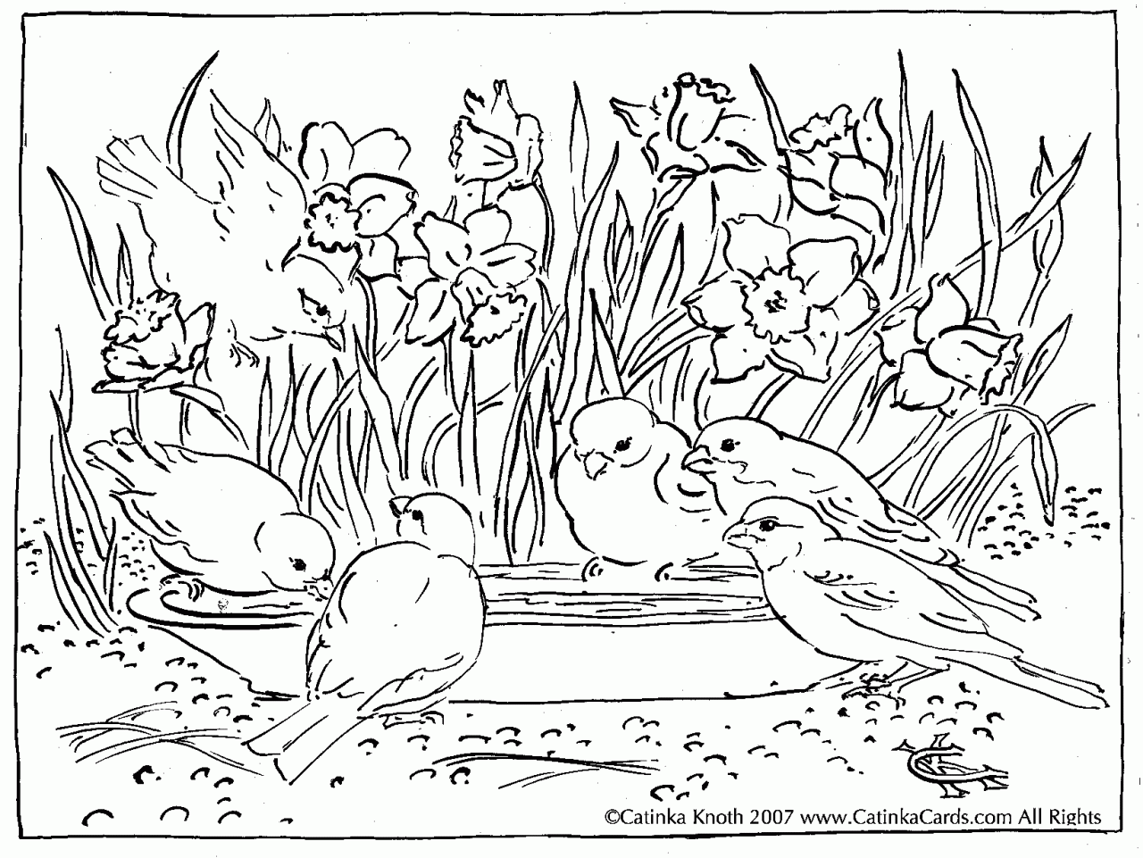 Nature Coloring Pages Pdf
