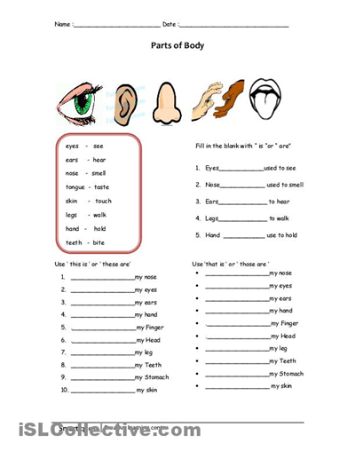 Worksheet For Class 1 Evs Body Parts