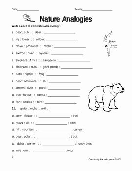 5th Grade Types Of Analogies Worksheet