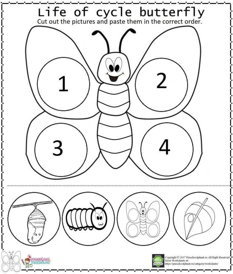 Printable Butterfly Life Cycle Worksheet Free