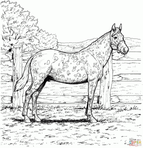 Palomino horse coloring pages download and print for free