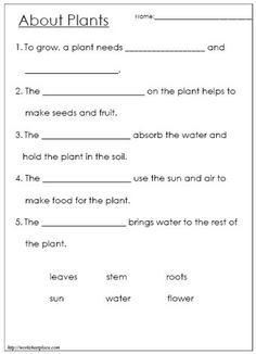4th Grade Science Worksheets On Plants