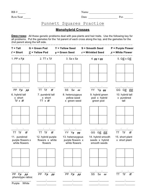 Squares Dihybrid Crosses Mendelian Worksheet Answers
