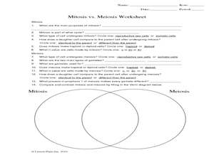 Mitosis And Meiosis Worksheet Answer Key