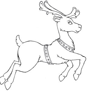 Reindeer coloring pages to download and print for free