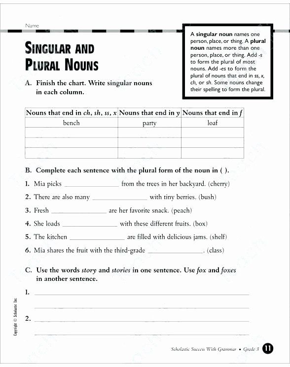 4th Grade Singular Plural Nouns Worksheet