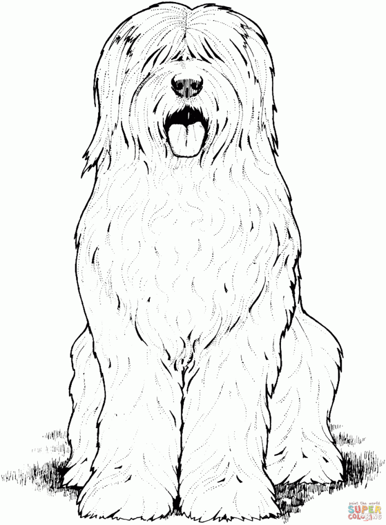 Puppy Coloring Pages Supercoloring