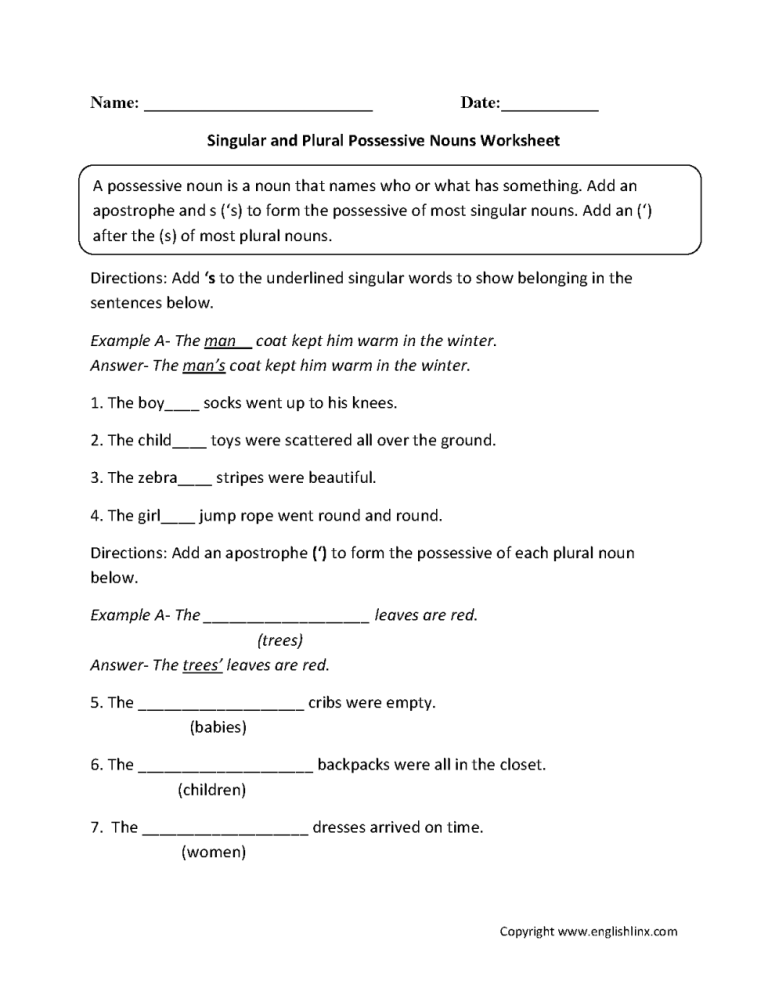 Singular And Plural Nouns Worksheet Grade 6 With Answers
