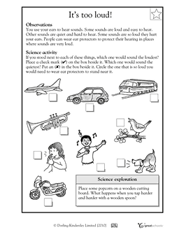 Free Printable 1st Grade First Grade Science Worksheets