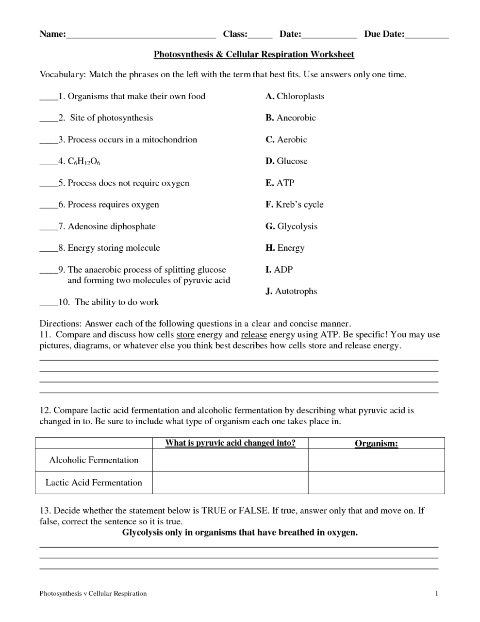 Printable French Question Words Worksheet Pdf