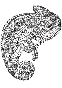 Animal coloring pages pdf Free adult coloring pages, Animal coloring
