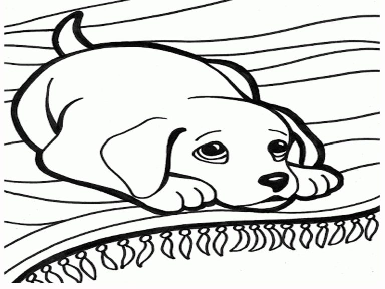 Coloring Pages Dogs And Puppies