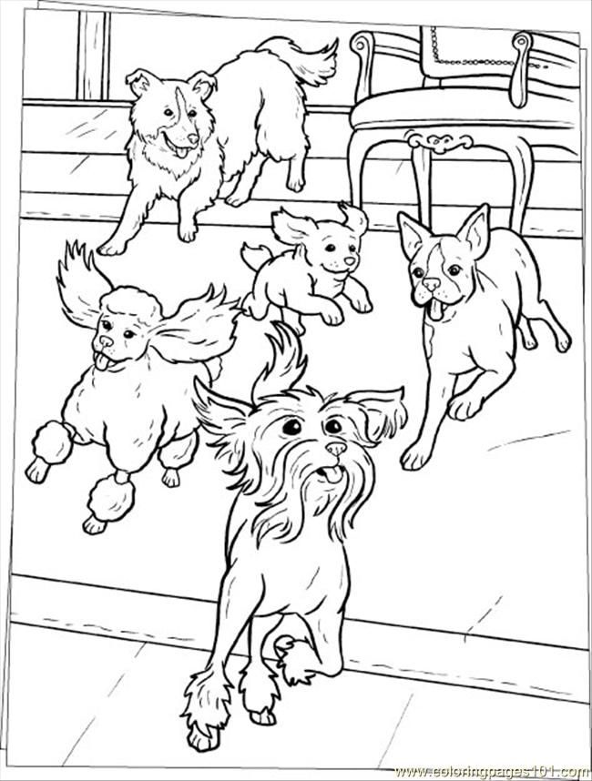 Coloring Pages Of Dogs And Horses