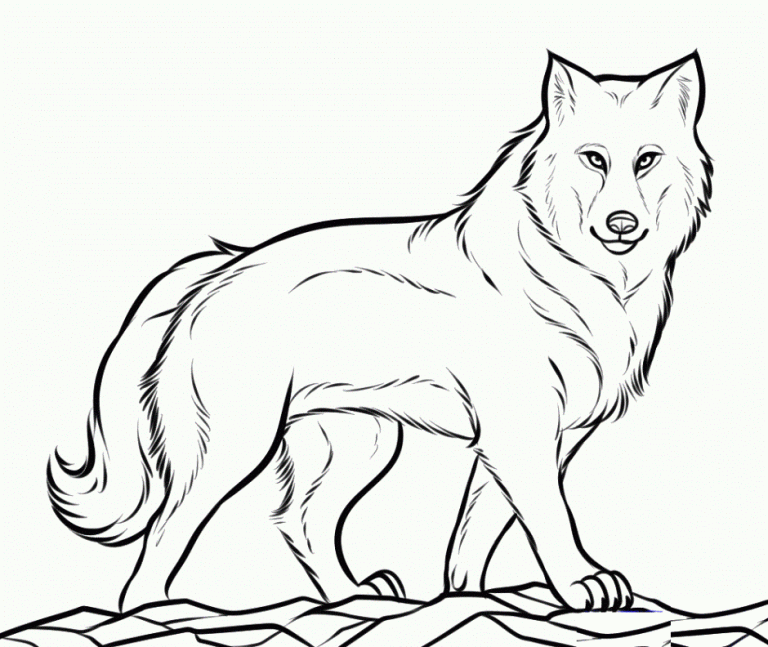 Coloring Pages Wolf Head