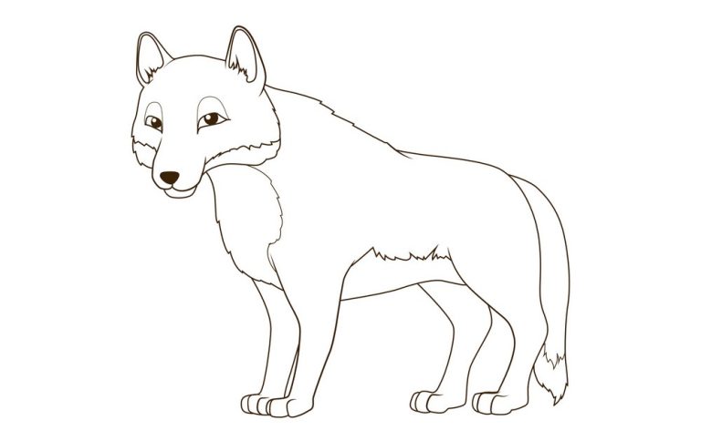 Coloring Pages Wolfoo