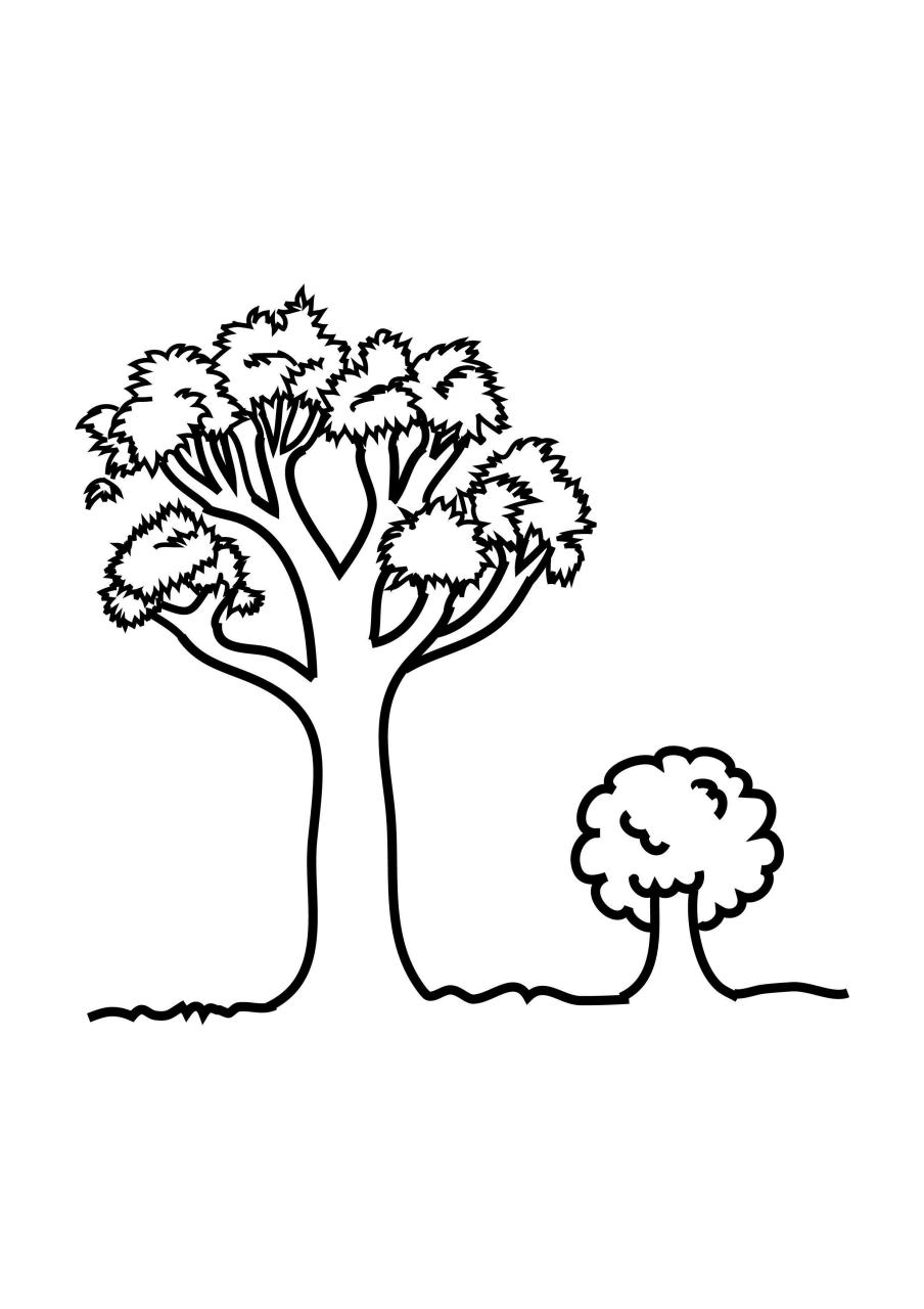 Tree Coloring Pages For Toddlers