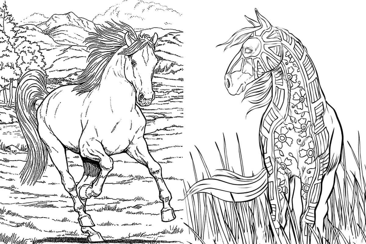 Free Horse Coloring Pages For Adults & Kids COWGIRL Magazine