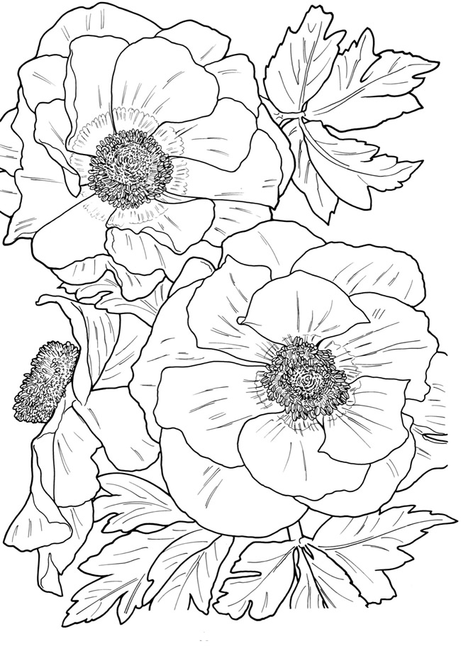 Coloring Pages Easy Flowers