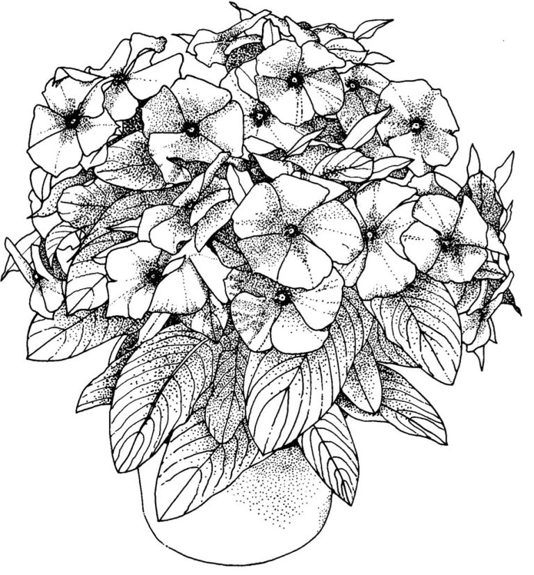 Printable Coloring Pages Free Flowers