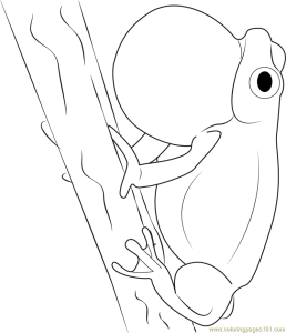 Frog on Tree Coloring Page Free Frog Coloring Pages