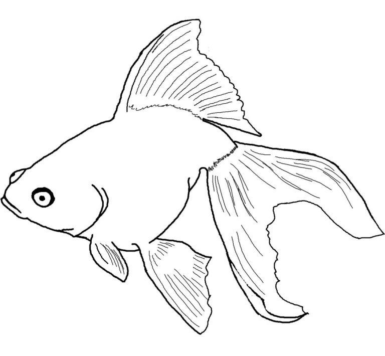 Fish Coloring Pages Realistic