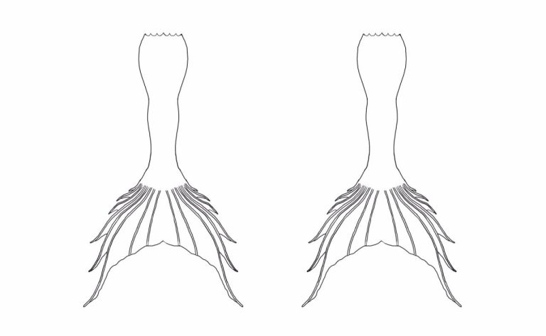 Coloring Page Mermaid Tail