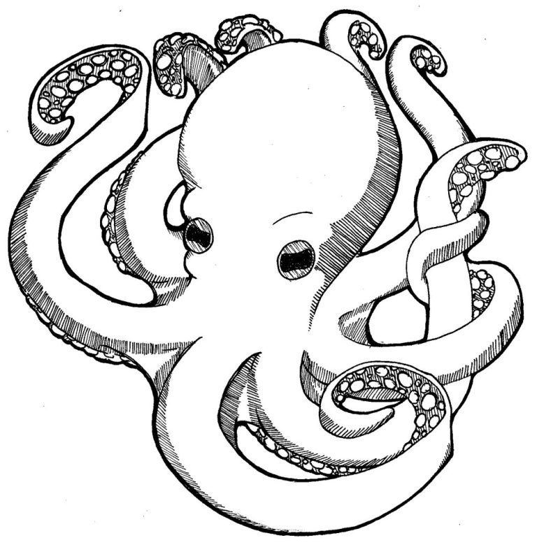 Octopus Coloring Pages To Print