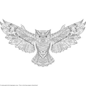 Patterned Zentangle Open Wing Owl Coloring Pages