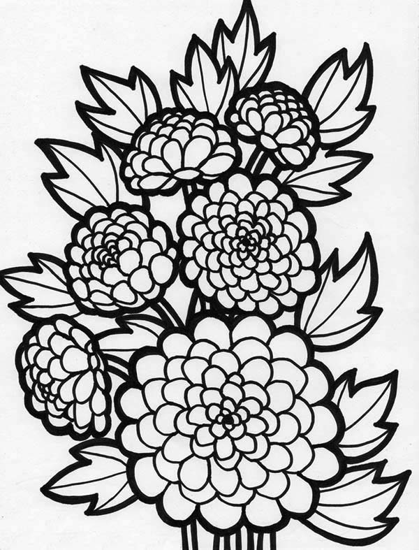 Coloring Pages Fall Flowers