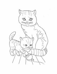 Pet Cat and Kitten Coloring Page Coloring Sky
