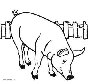 Free Printable Pig Coloring Pages For Kids Cool2bKids