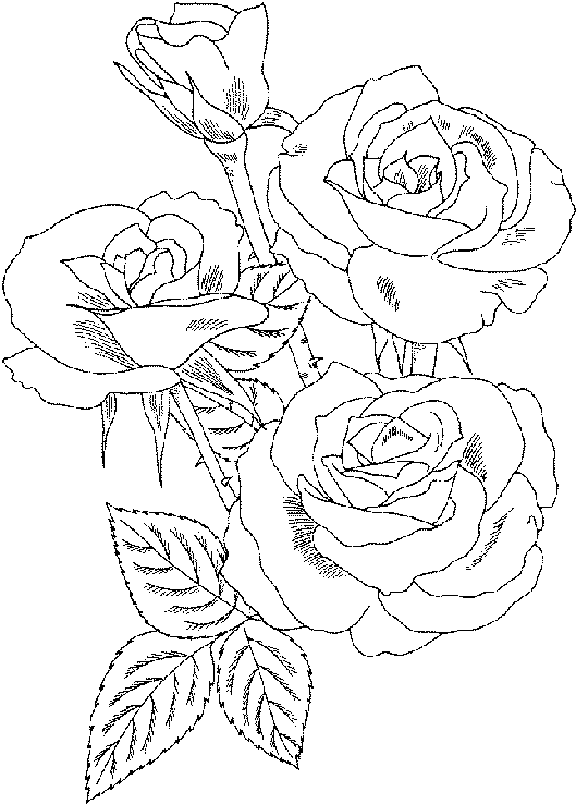 Rose Coloring Pages Hard