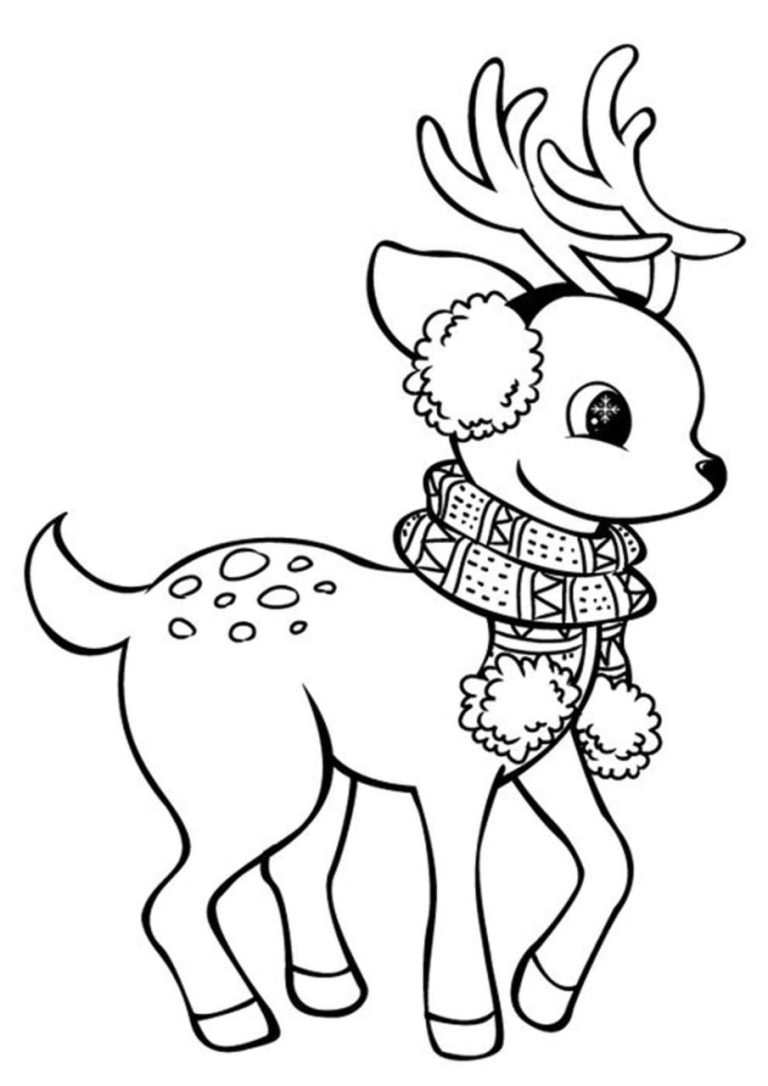 Reindeer Coloring Book