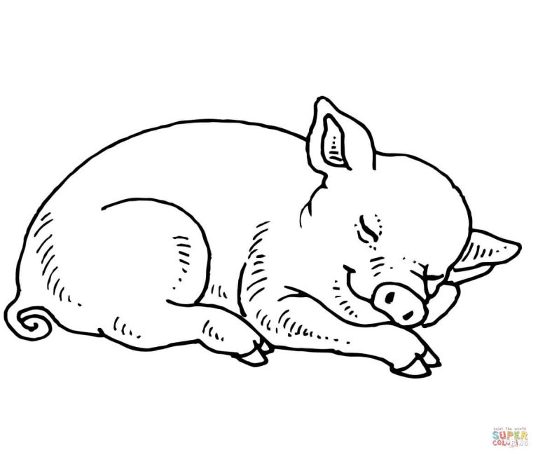 Pig Coloring Pages To Print