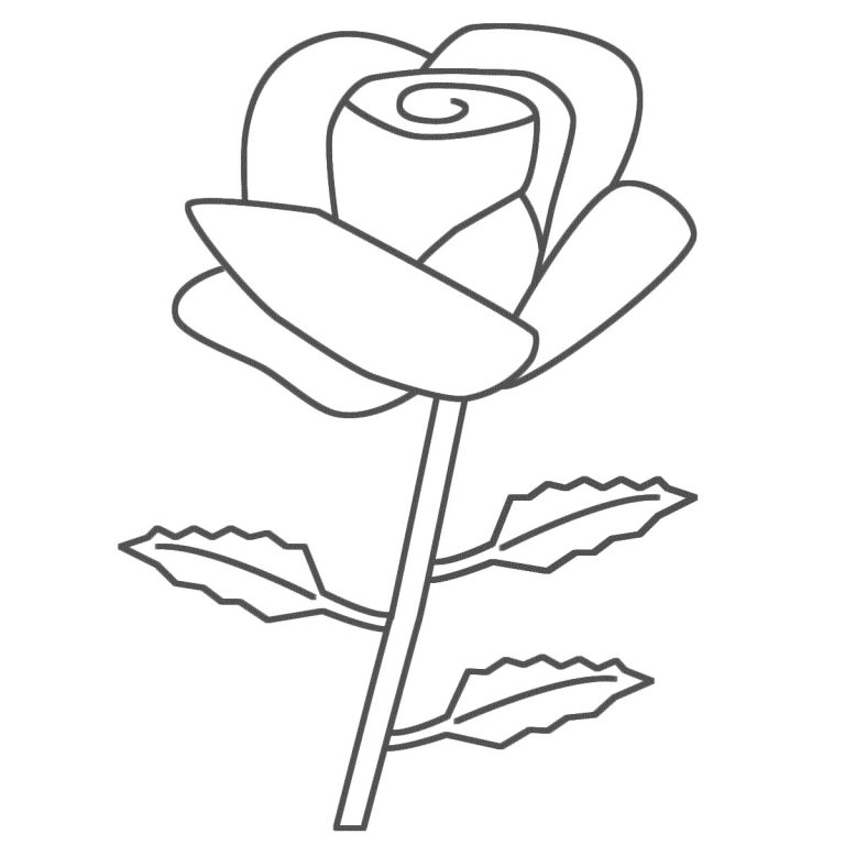 Printable Rose Flower Coloring Pages