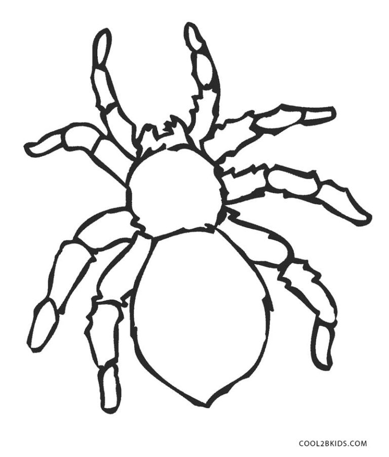 Spider Coloring Pages Online