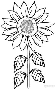 Printable Sunflower Coloring Pages For Kids Cool2bKids