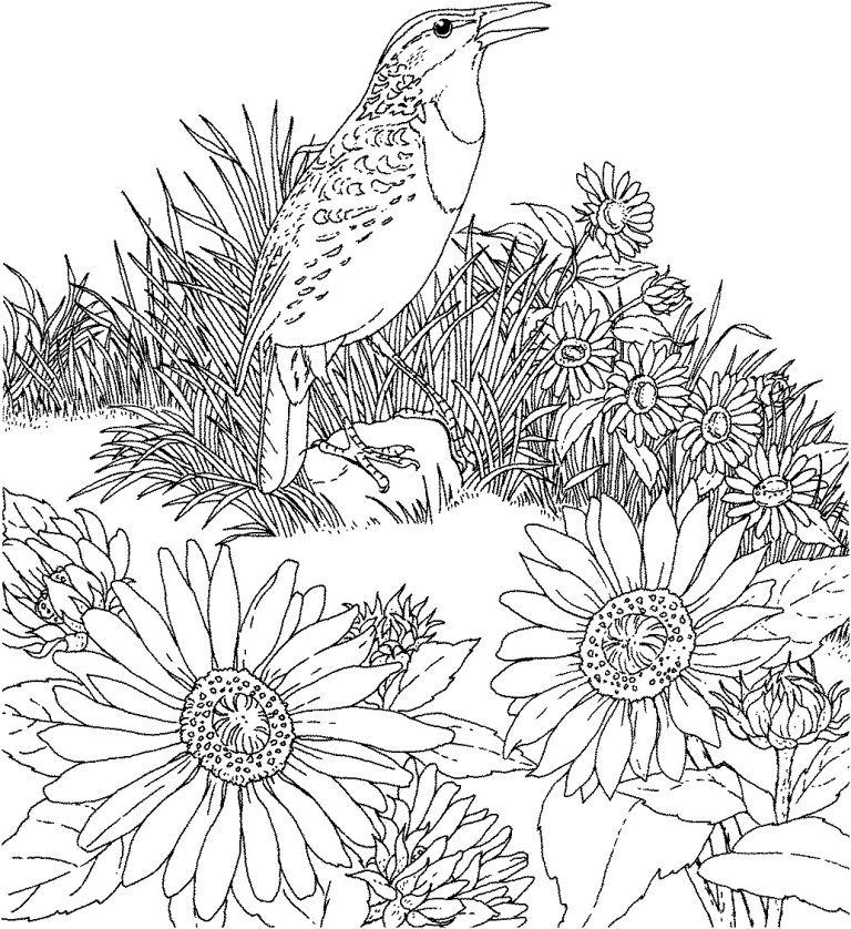 Sunflower Coloring Page Printable