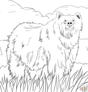 Alaskan Grizzly Bear coloring page Free Printable Coloring Pages