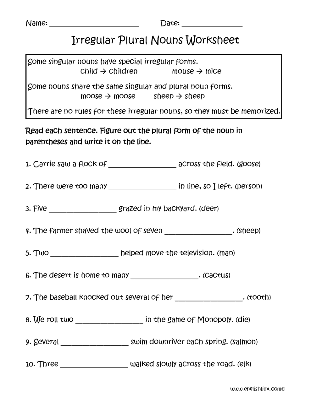 5th Grade Singular And Plural Nouns Worksheet