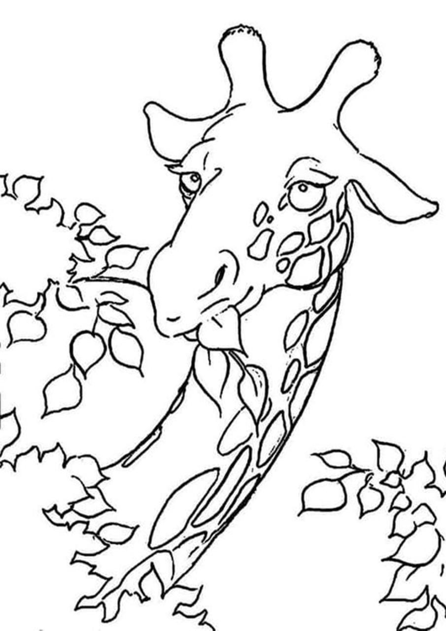 Free & Easy To Print Giraffe Coloring Pages in 2020 Giraffe coloring