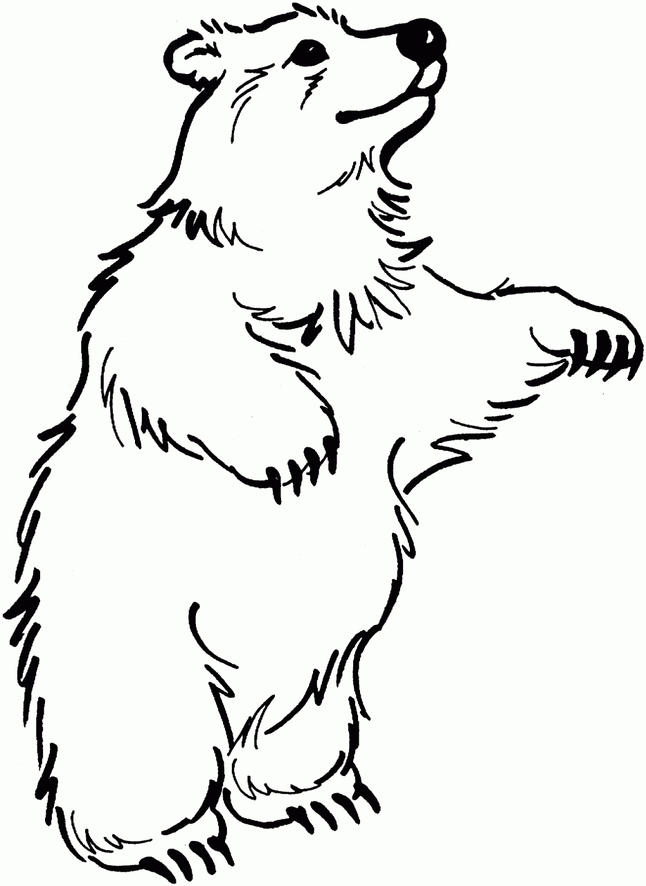 Bear Coloring Pages Free Printable