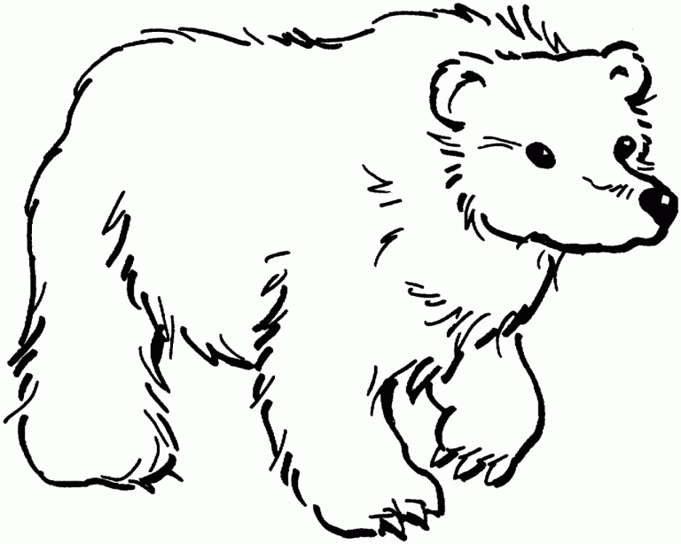 Bear Coloring Pages Online