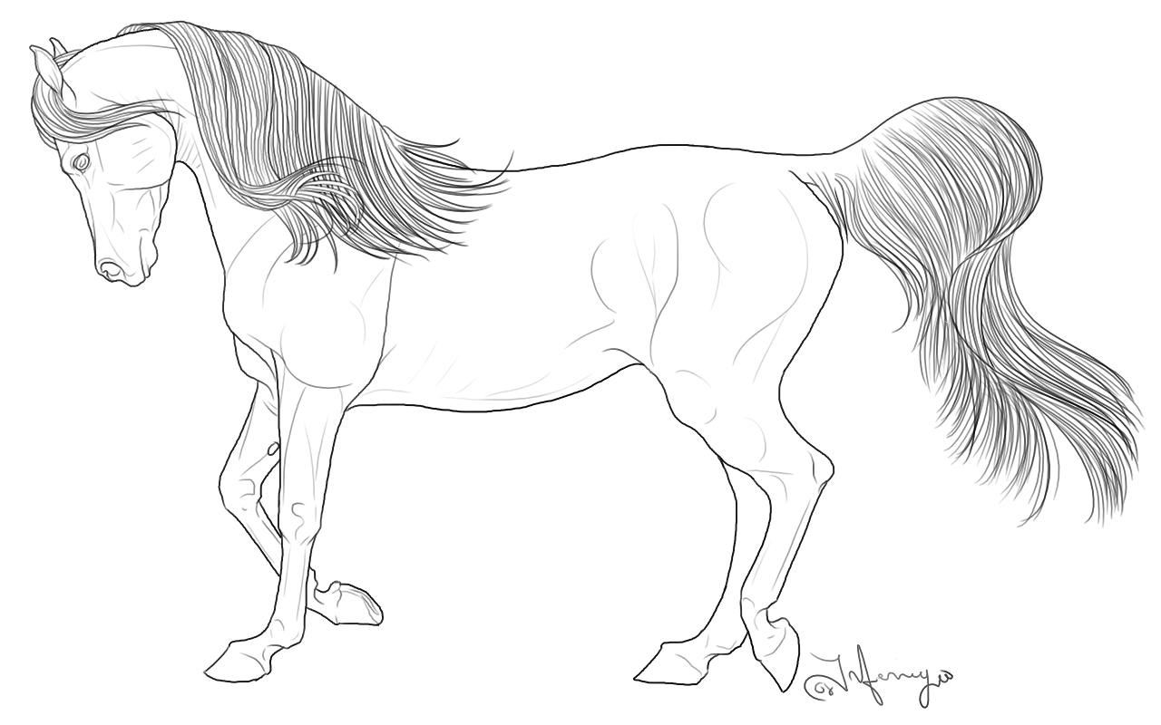 Horse Coloring Pages Realistic