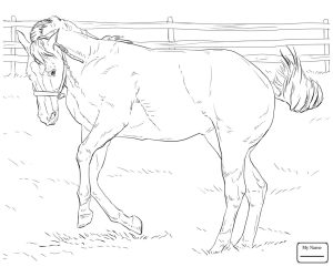 Bucking Horse Coloring Pages at Free printable