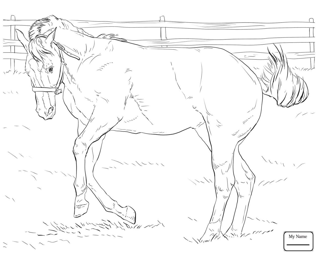 Coloring Page Horse Bucking